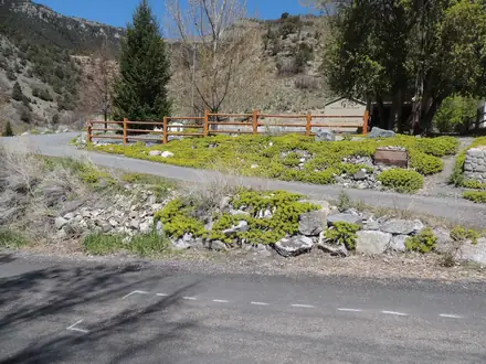 View photo 2 of Myrtle Spurge